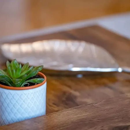 Chic Flat With River View